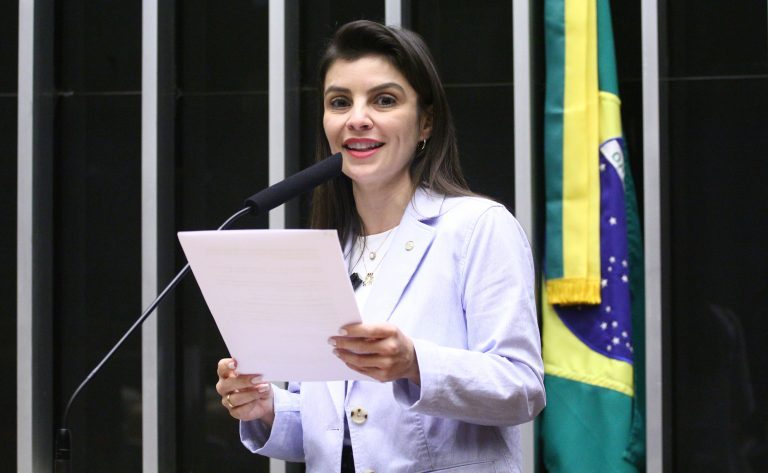 Deputados aprovam projeto que restringe medidas cautelares na fiscalização ambiental