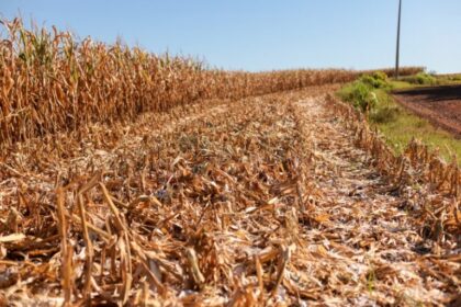 Congresso analisa MP que destina R$ 360 milhões a desastres climáticos