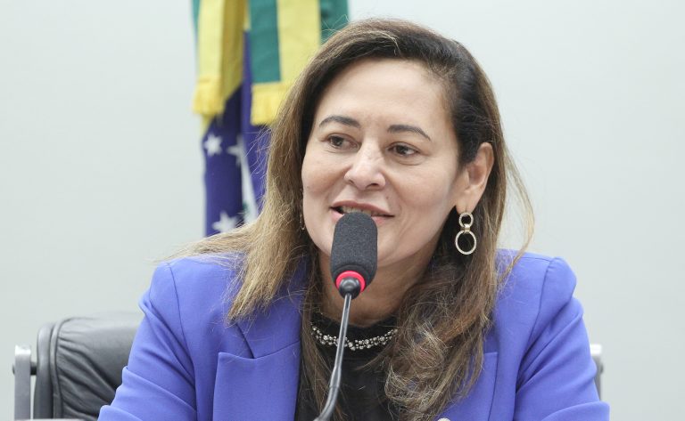 Comissão aprova prioridade de recursos do Fundo Climático para Amazônia