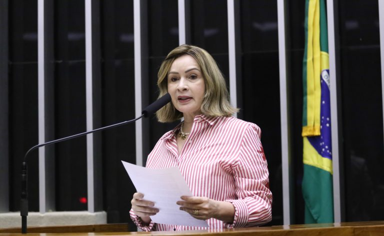 Comissão aprova sistema de incentivo à produção sustentável na Amazônia