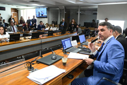 Comissão de Segurança Pública aprova porte de arma para defensores