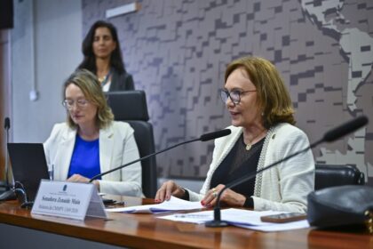 Comissão mista aprova extensão de programa para diminuir filas do INSS