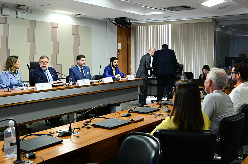 Senado debate acessibilidade para pessoas com deficiência nas eleições
