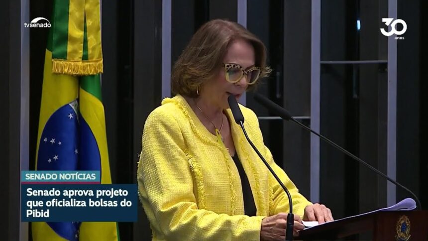 Senado aprova lei que torna permanente programa de bolsas docentes