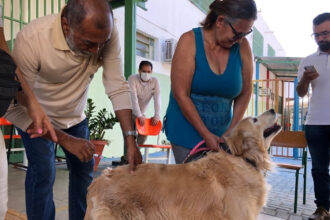 Goiânia vacina cães e gatos contra raiva em setembro