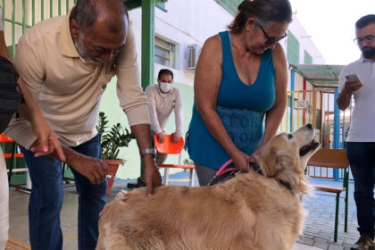 Goiânia vacina cães e gatos contra raiva em setembro