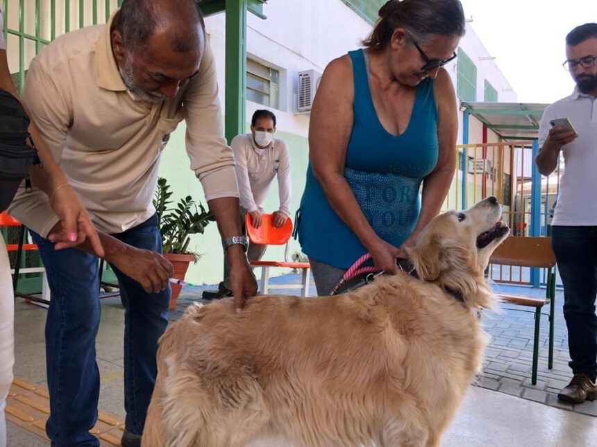 Goiânia vacina cães e gatos contra raiva em setembro